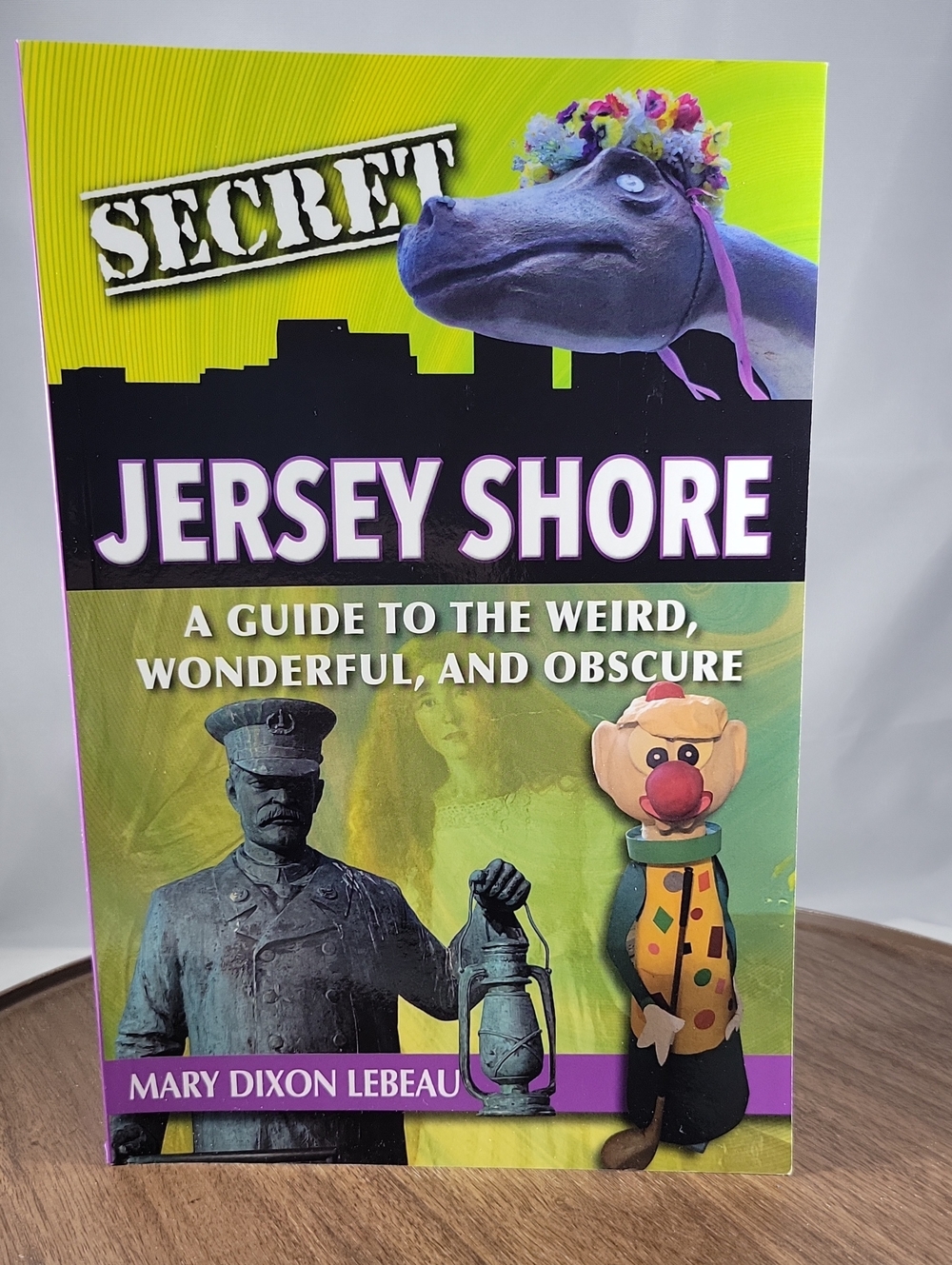 2022 Secret Jersey Shore by Mary Dixon Lebeau Mint Condition